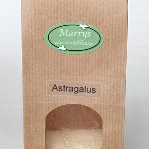 Astragalus